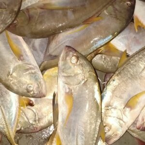 yellow tile traveler